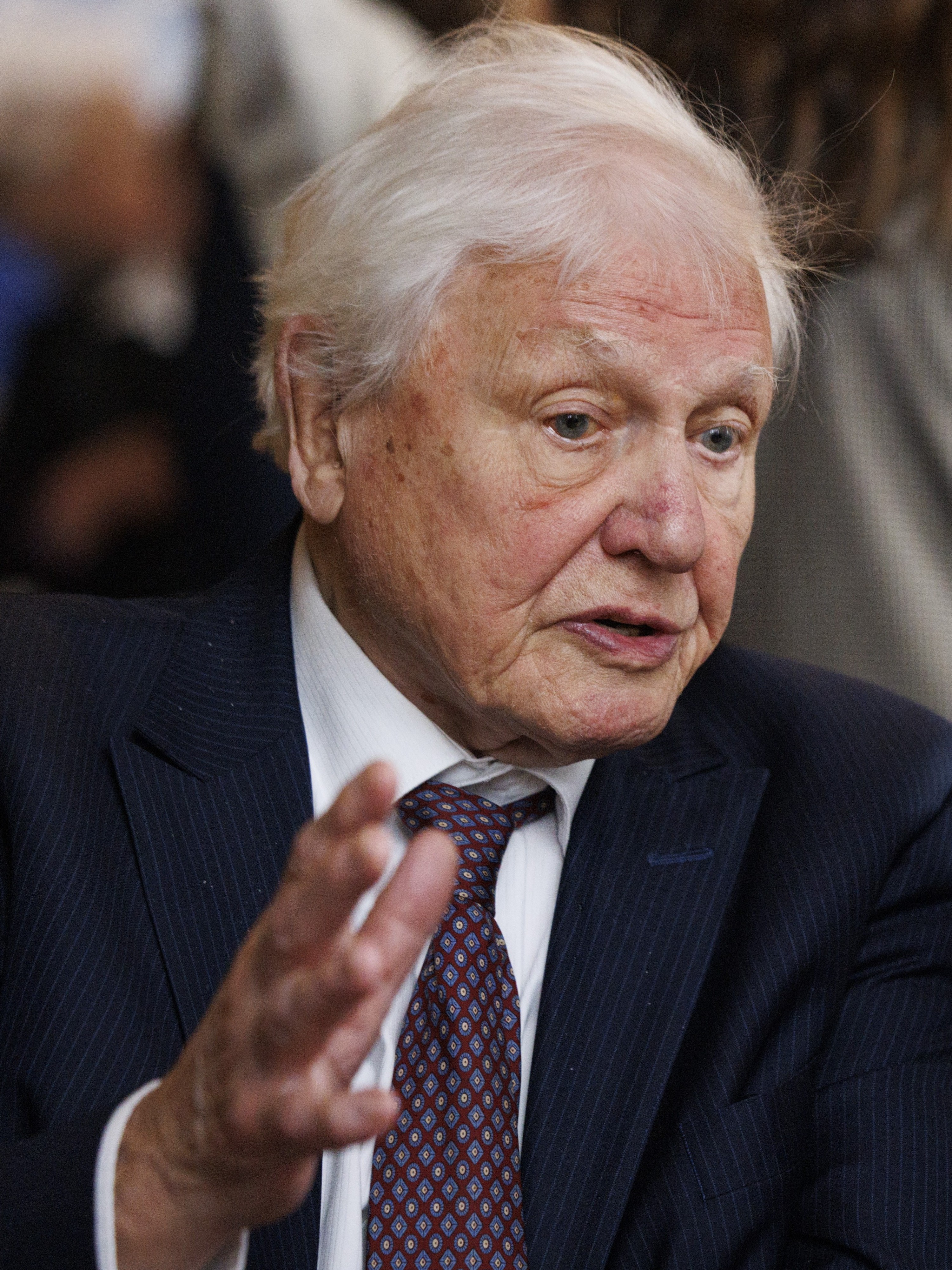 Sir David Attenborough in 2025